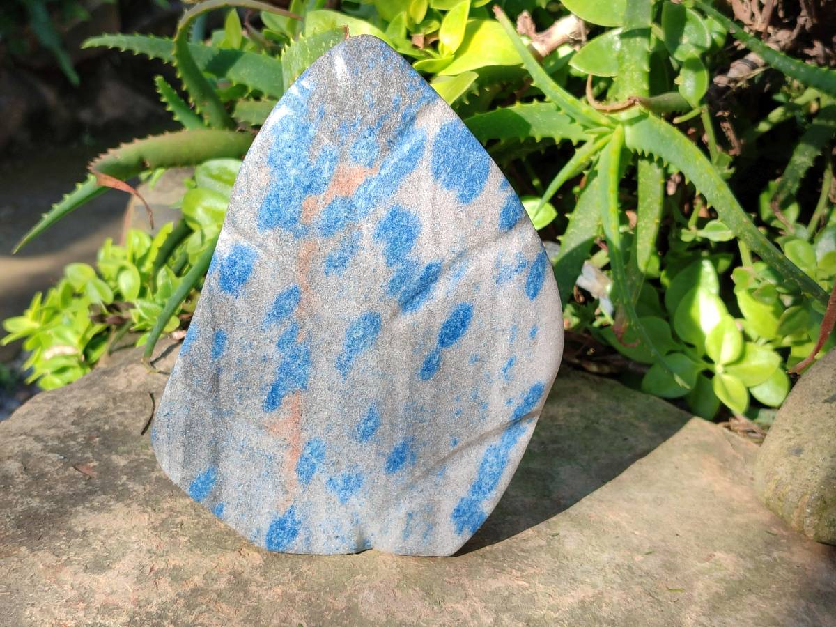 Polished Blue Spinel Spotted Quartz Leaf Sculpture x 1 From Madagascar - Toprock Gemstones and Minerals 