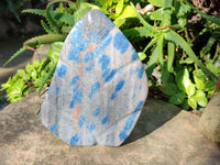 Polished Blue Spinel Spotted Quartz Leaf Sculpture x 1 From Madagascar