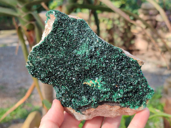 Natural Crystalline Malachite Specimens x 2 From Congo