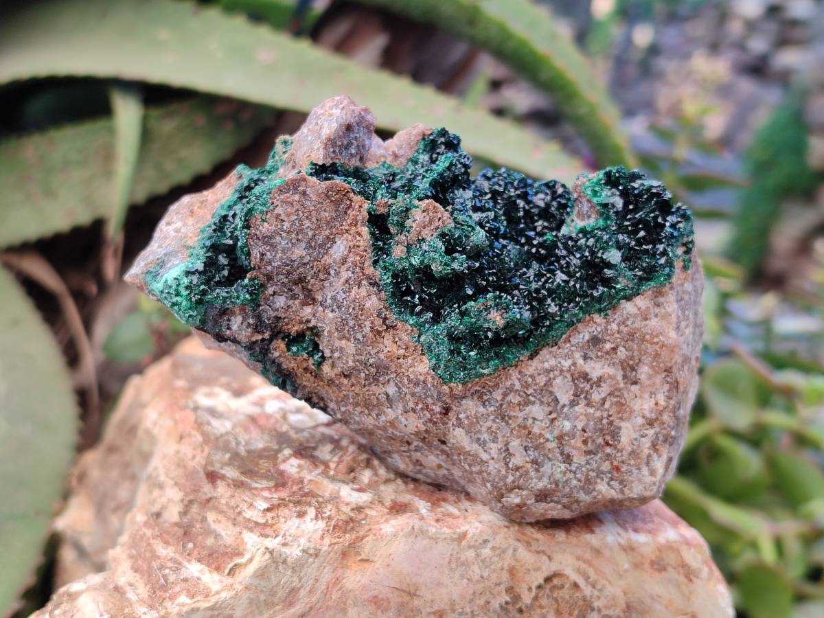 Natural Crystalline Malachite Specimens x 2 From Congo - Toprock Gemstones and Minerals 