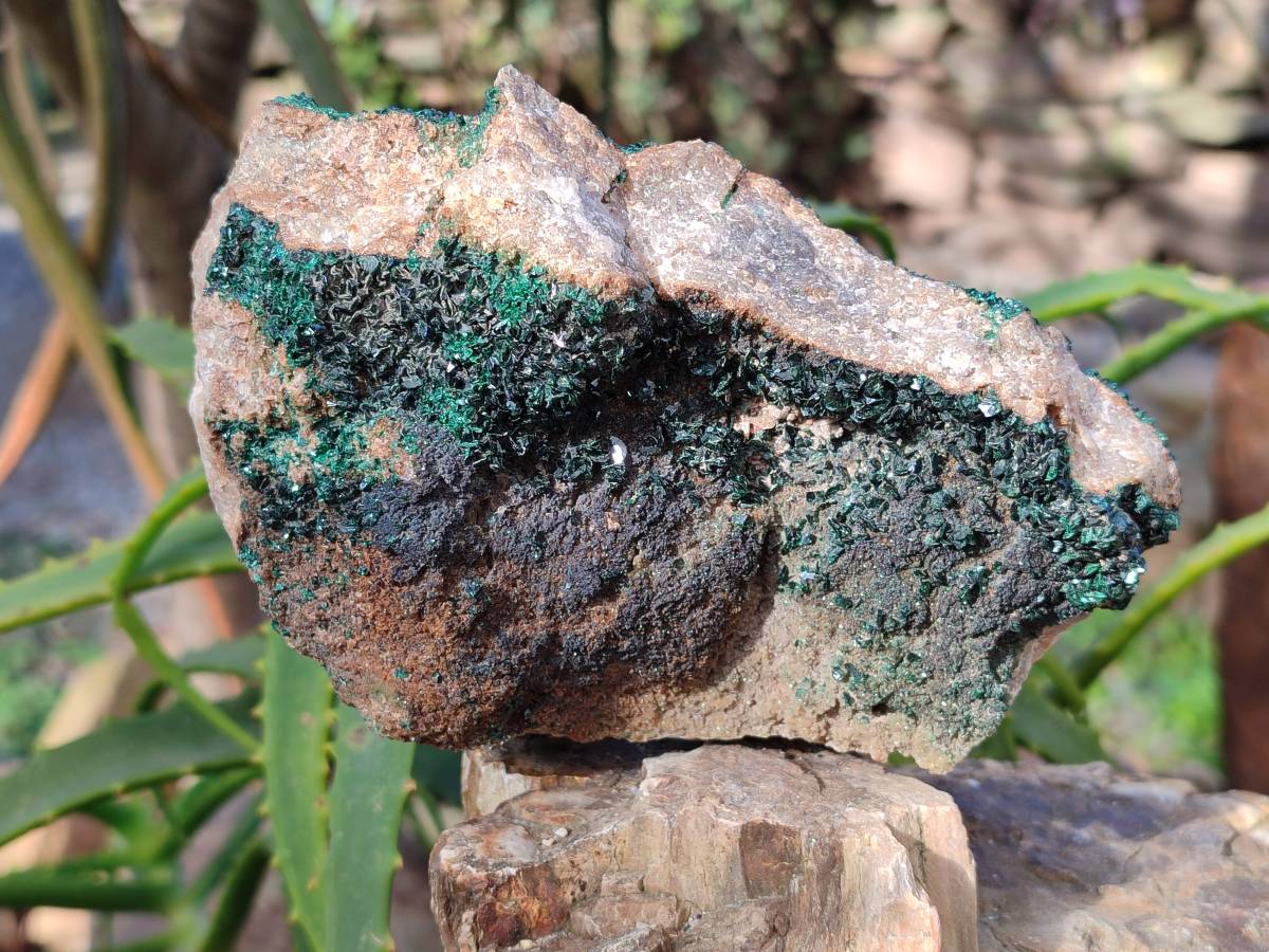 Natural Crystalline Malachite Specimens x 2 From Congo - Toprock Gemstones and Minerals 
