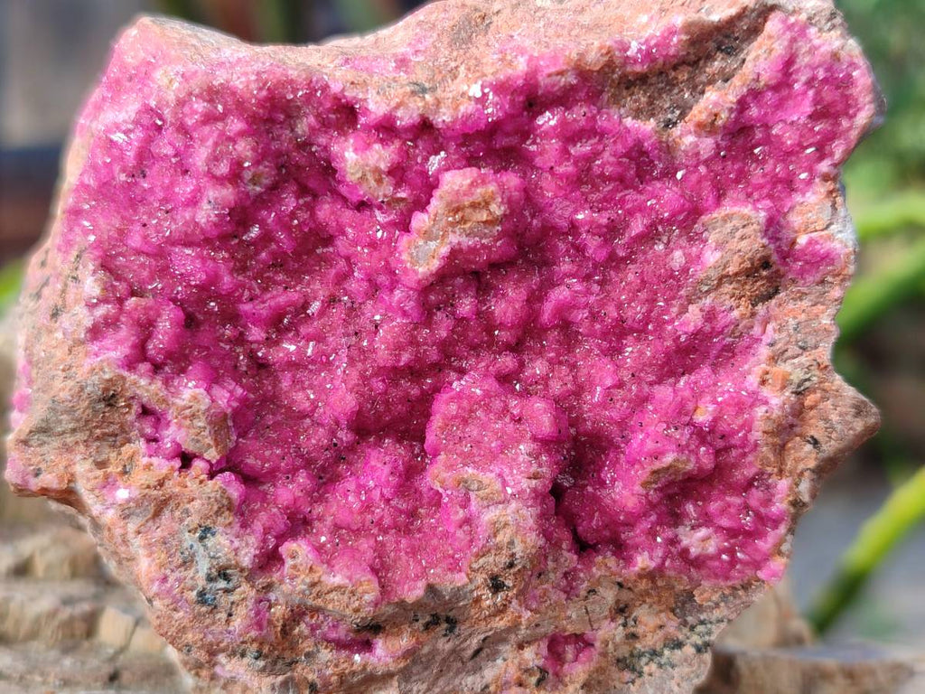 Natural Drusy Salrose on Dolomite Matrix Specimens x 6 From Kakanda, Congo - Toprock Gemstones and Minerals 