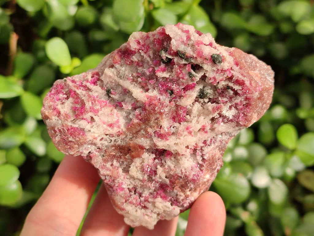 Natural Drusy Salrose on Dolomite Matrix Specimens x 6 From Kakanda, Congo - Toprock Gemstones and Minerals 