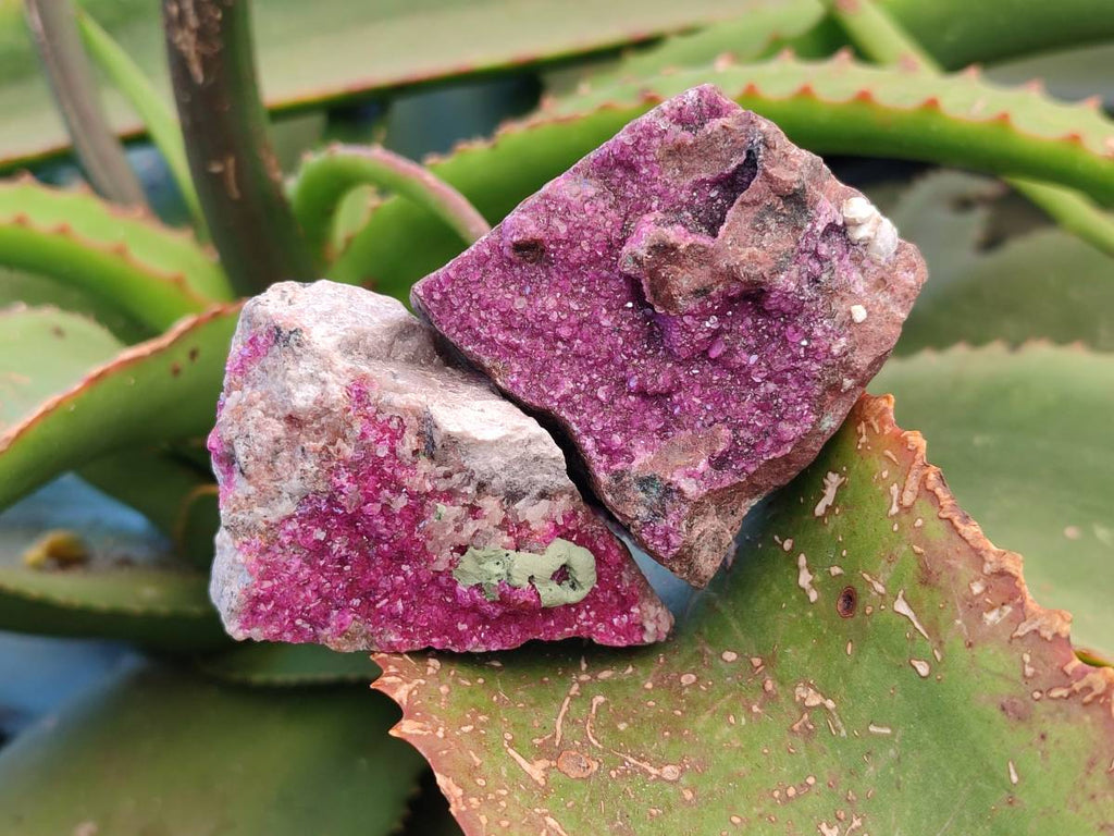 Natural Drusy Salrose on Dolomite Matrix Specimens x 6 From Kakanda, Congo - Toprock Gemstones and Minerals 
