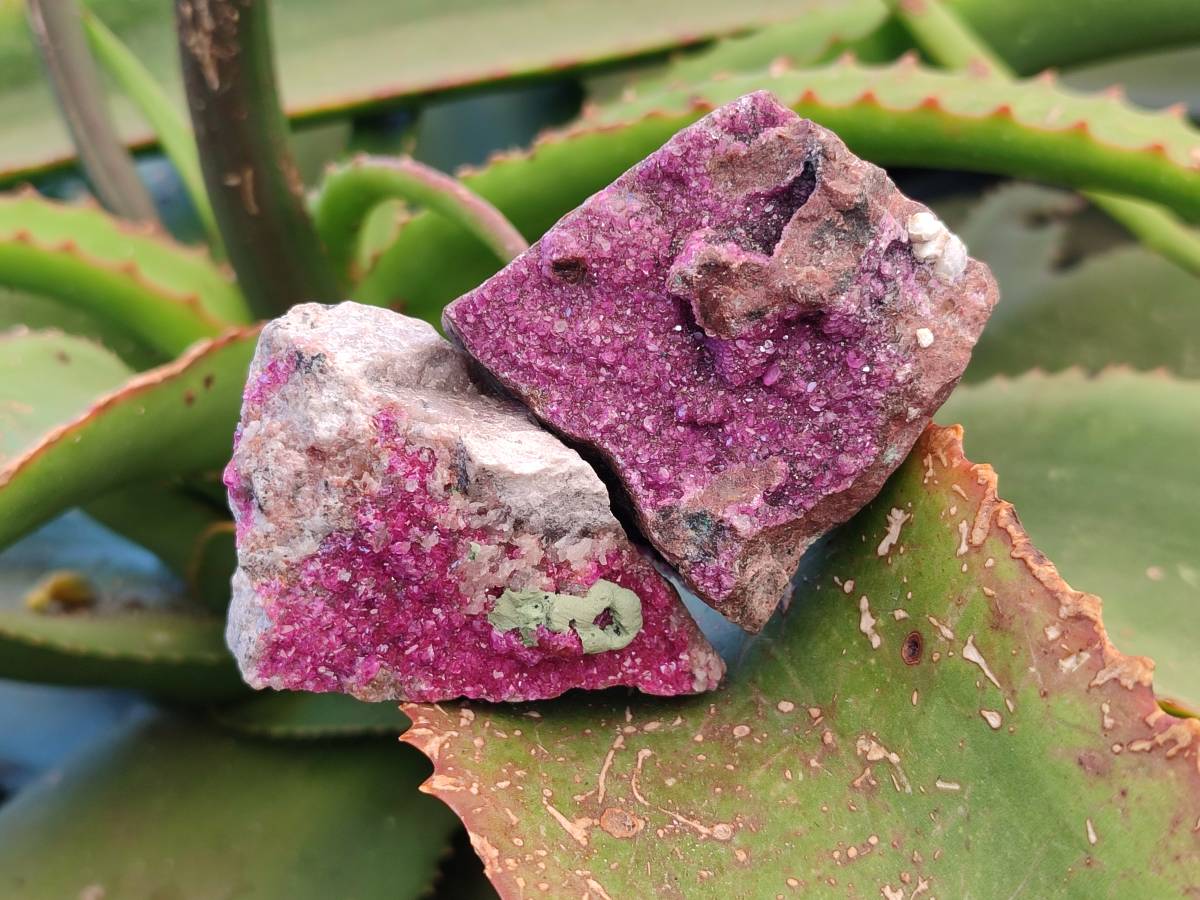 Natural Drusy Salrose on Dolomite Matrix Specimens x 6 From Kakanda, Congo - Toprock Gemstones and Minerals 