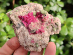 Natural Drusy Salrose on Dolomite Matrix Specimens x 6 From Kakanda, Congo - Toprock Gemstones and Minerals 