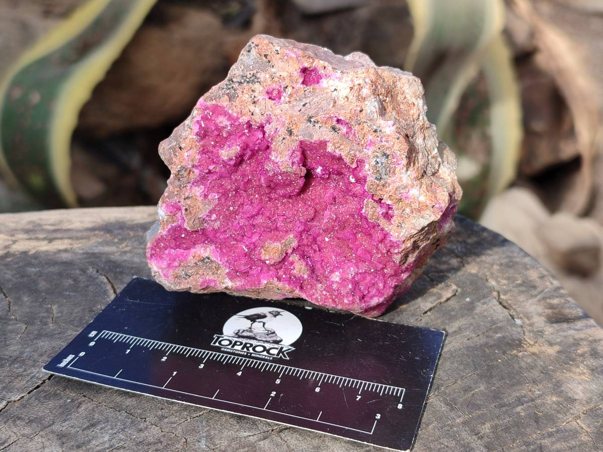 Natural Drusy Salrose on Dolomite Matrix Specimens x 6 From Kakanda, Congo - Toprock Gemstones and Minerals 