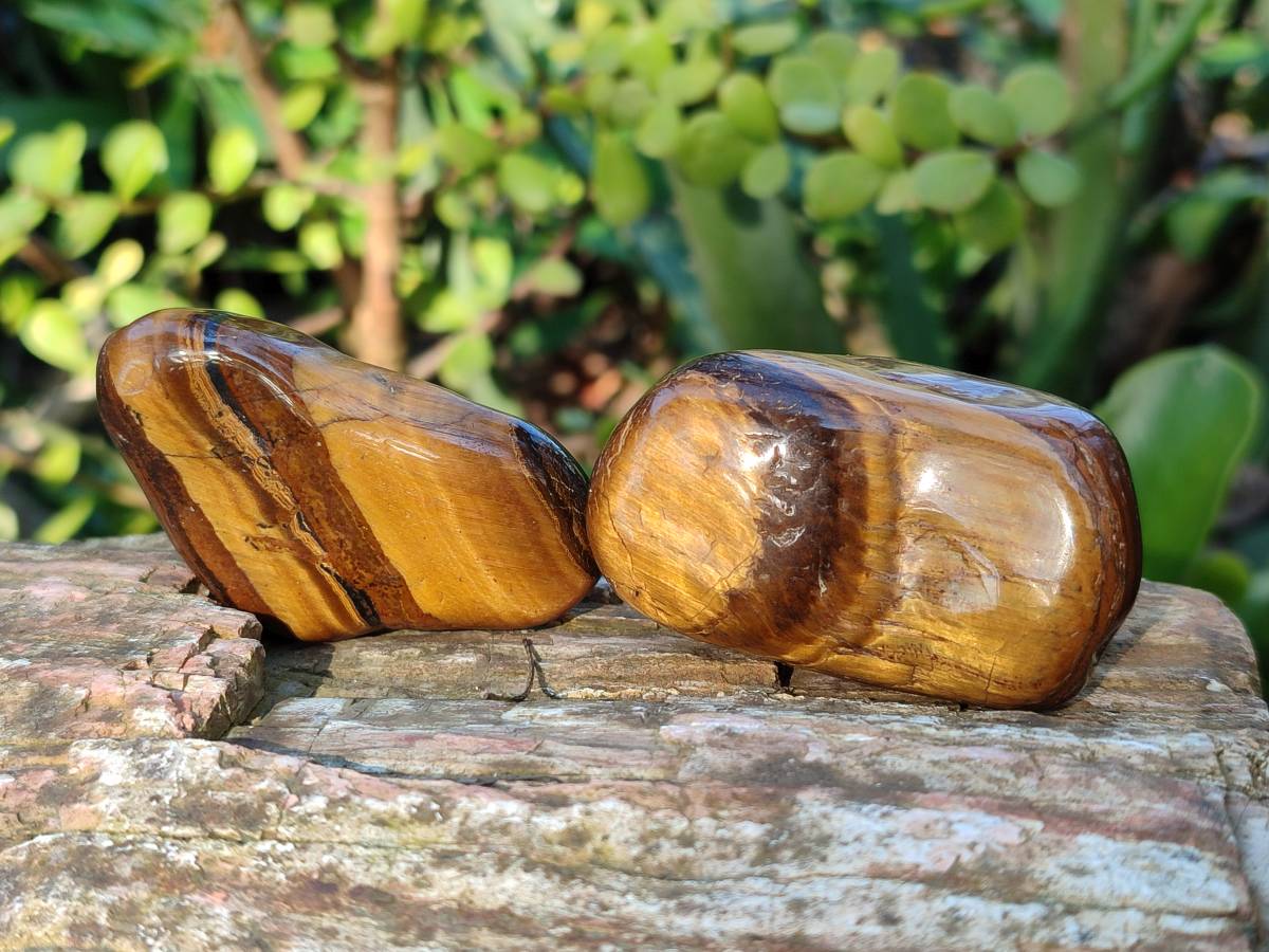 Polished Tiger's Eye Tumbled Stones x 35 From Prieska, South Africa - Toprock Gemstones and Minerals 