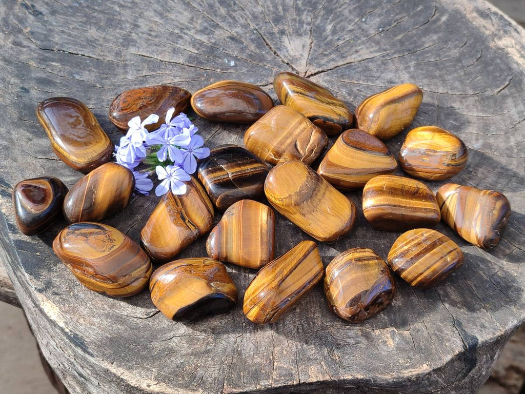 Polished Tiger's Eye Tumbled Stones x 35 From Prieska, South Africa - Toprock Gemstones and Minerals 