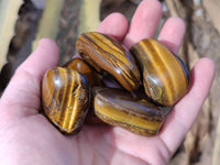 Polished Tiger's Eye Tumbled Stones x 35 From Prieska, South Africa - Toprock Gemstones and Minerals 