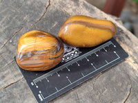 Polished Tiger's Eye Tumbled Stones x 35 From Prieska, South Africa - Toprock Gemstones and Minerals 