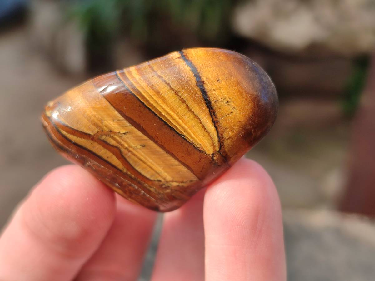 Polished Tiger's Eye Tumbled Stones x 35 From Prieska, South Africa - Toprock Gemstones and Minerals 