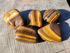 Polished Tiger's Eye Tumbled Stones x 35 From Prieska, South Africa - Toprock Gemstones and Minerals 