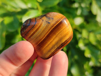 Polished Tiger's Eye Tumbled Stones x 35 From Prieska, South Africa - Toprock Gemstones and Minerals 