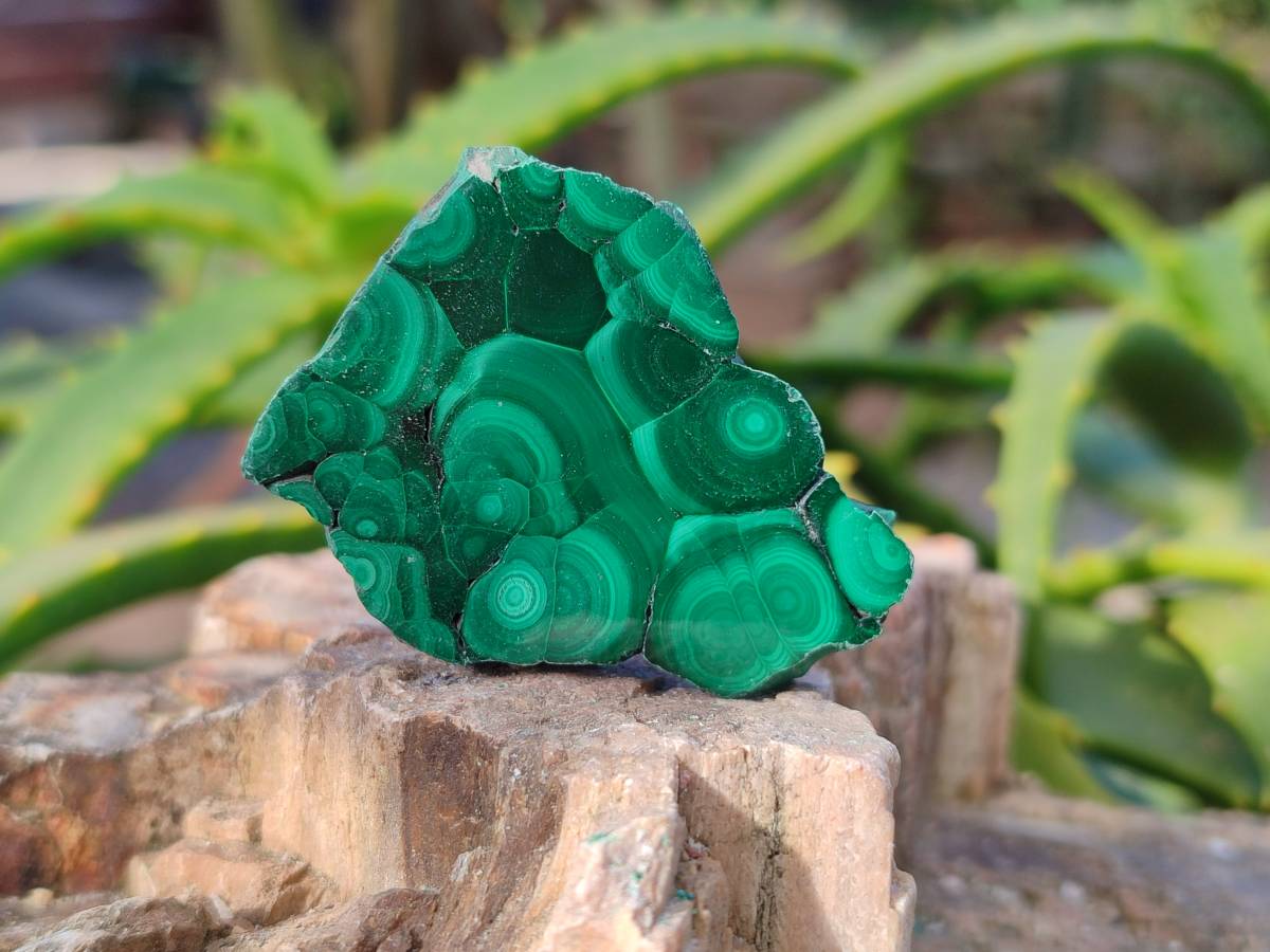 Natural Mix of Retail Items x 0.7 Kg Lot From Southern Africa - Toprock Gemstones and Minerals 