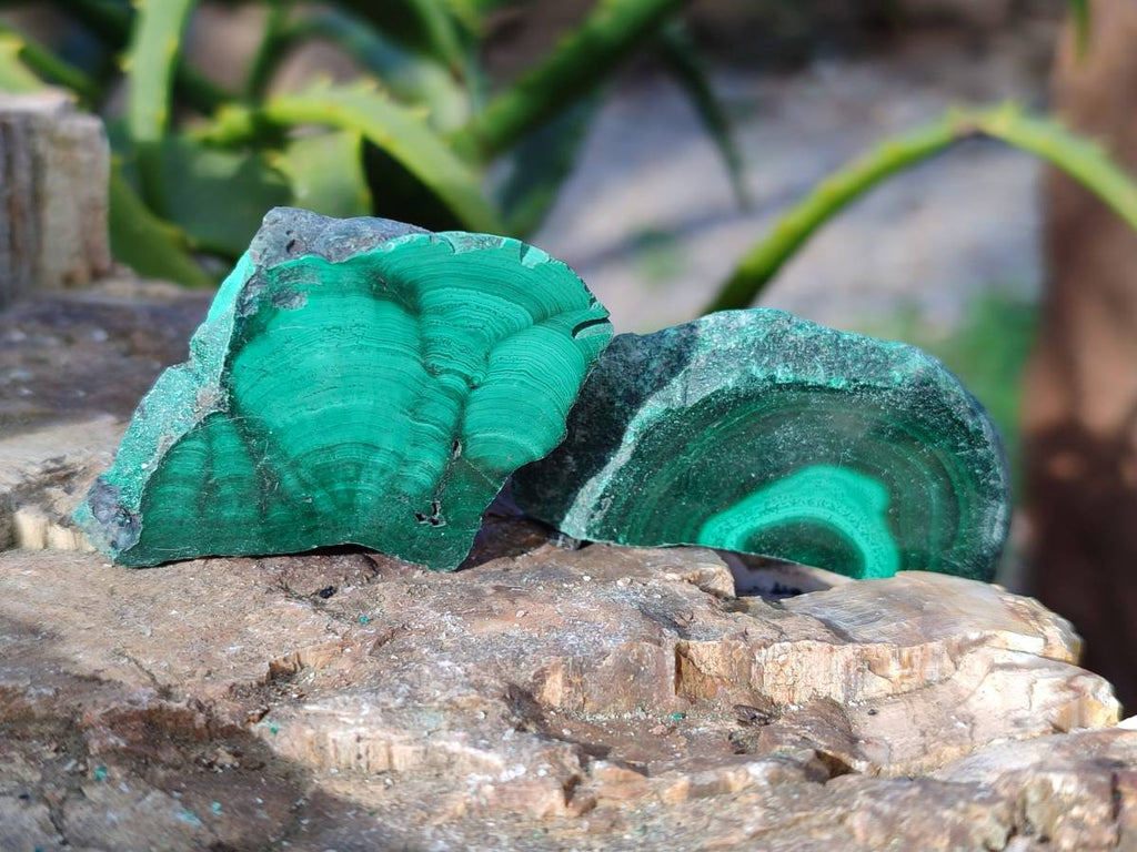 Natural Mix of Retail Items x 0.7 Kg Lot From Southern Africa - Toprock Gemstones and Minerals 