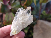 Natural Phantom Cascading Smokey Quartz Crystals x 40 From Luena, Congo - Toprock Gemstones and Minerals 
