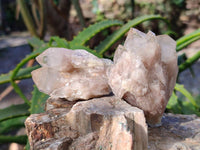 Natural Phantom Cascading Smokey Quartz Crystals x 40 From Luena, Congo - Toprock Gemstones and Minerals 