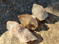 Natural Phantom Cascading Smokey Quartz Crystals x 40 From Luena, Congo - Toprock Gemstones and Minerals 