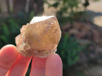 Natural Phantom Cascading Smokey Quartz Crystals x 40 From Luena, Congo - Toprock Gemstones and Minerals 