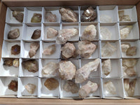 Natural Phantom Cascading Smokey Quartz Crystals x 40 From Luena, Congo - Toprock Gemstones and Minerals 
