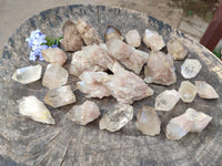 Natural Phantom Cascading Smokey Quartz Crystals x 40 From Luena, Congo - Toprock Gemstones and Minerals 