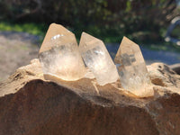 Natural Phantom Cascading Smokey Quartz Crystals x 40 From Luena, Congo - Toprock Gemstones and Minerals 