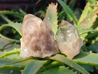 Natural Phantom Cascading Smokey Quartz Crystals x 40 From Luena, Congo - Toprock Gemstones and Minerals 