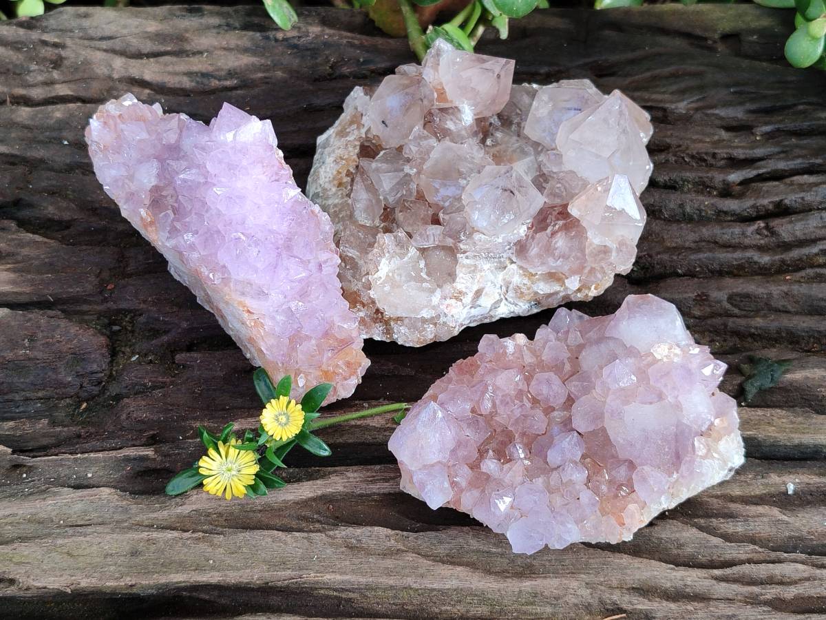 Natural Amethyst Spirit Quartz Clusters x 3 From Boekenhouthoek, South Africa - Toprock Gemstones and Minerals 