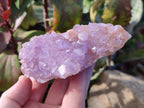 Natural Amethyst Spirit Quartz Clusters x 3 From Boekenhouthoek, South Africa - Toprock Gemstones and Minerals 