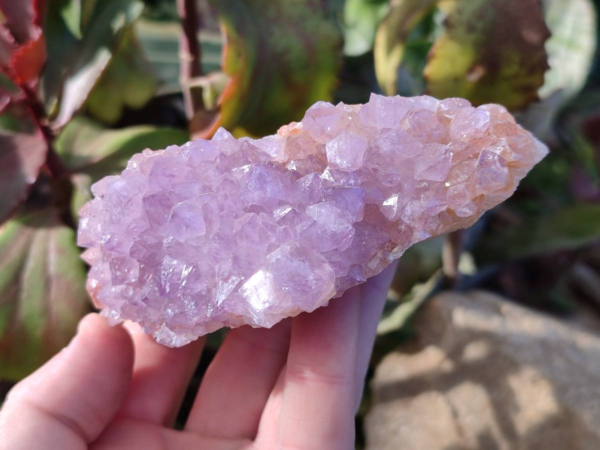 Natural Amethyst Spirit Quartz Clusters x 3 From Boekenhouthoek, South Africa - Toprock Gemstones and Minerals 