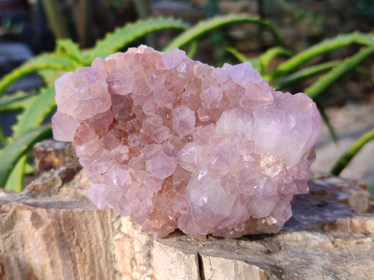 Natural Amethyst Spirit Quartz Clusters x 3 From Boekenhouthoek, South Africa - Toprock Gemstones and Minerals 