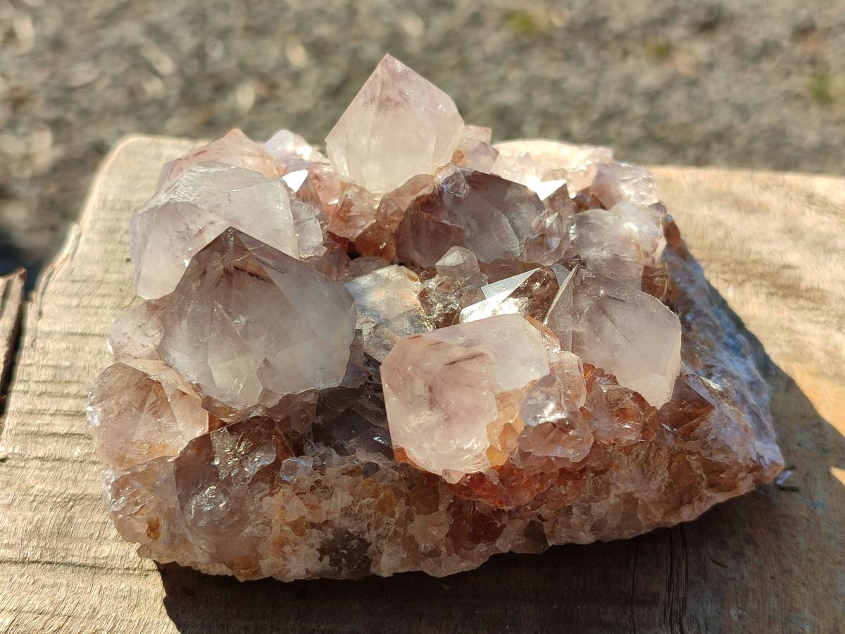 Natural Amethyst Spirit Quartz Clusters x 3 From Boekenhouthoek, South Africa - Toprock Gemstones and Minerals 