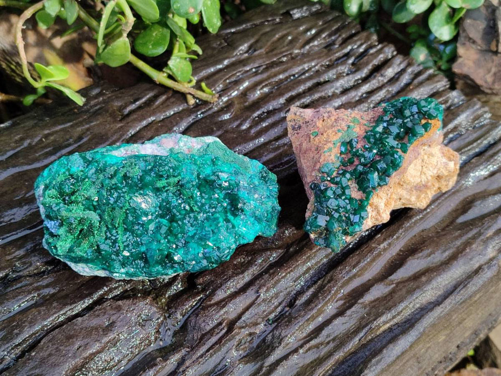 Natural Dioptase on Dolomite Matrix Specimens x 2 From Likasi, Congo - Toprock Gemstones and Minerals 