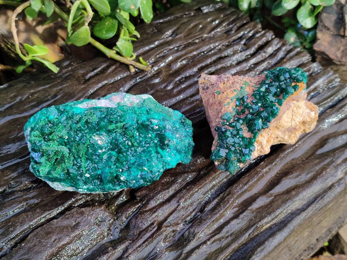 Natural Dioptase on Dolomite Matrix Specimens x 2 From Likasi, Congo - Toprock Gemstones and Minerals 