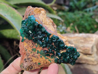 Natural Dioptase on Dolomite Matrix Specimens x 2 From Likasi, Congo - Toprock Gemstones and Minerals 