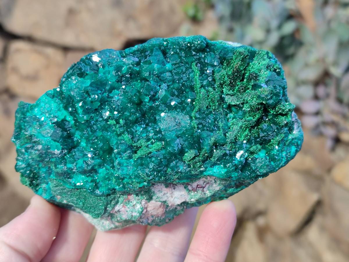 Natural Dioptase on Dolomite Matrix Specimens x 2 From Likasi, Congo - Toprock Gemstones and Minerals 