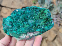 Natural Dioptase on Dolomite Matrix Specimens x 2 From Likasi, Congo - Toprock Gemstones and Minerals 