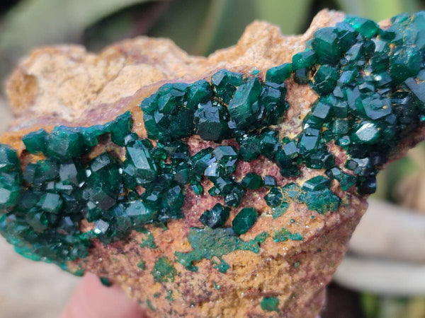 Natural Dioptase on Dolomite Matrix Specimens x 2 From Likasi, Congo