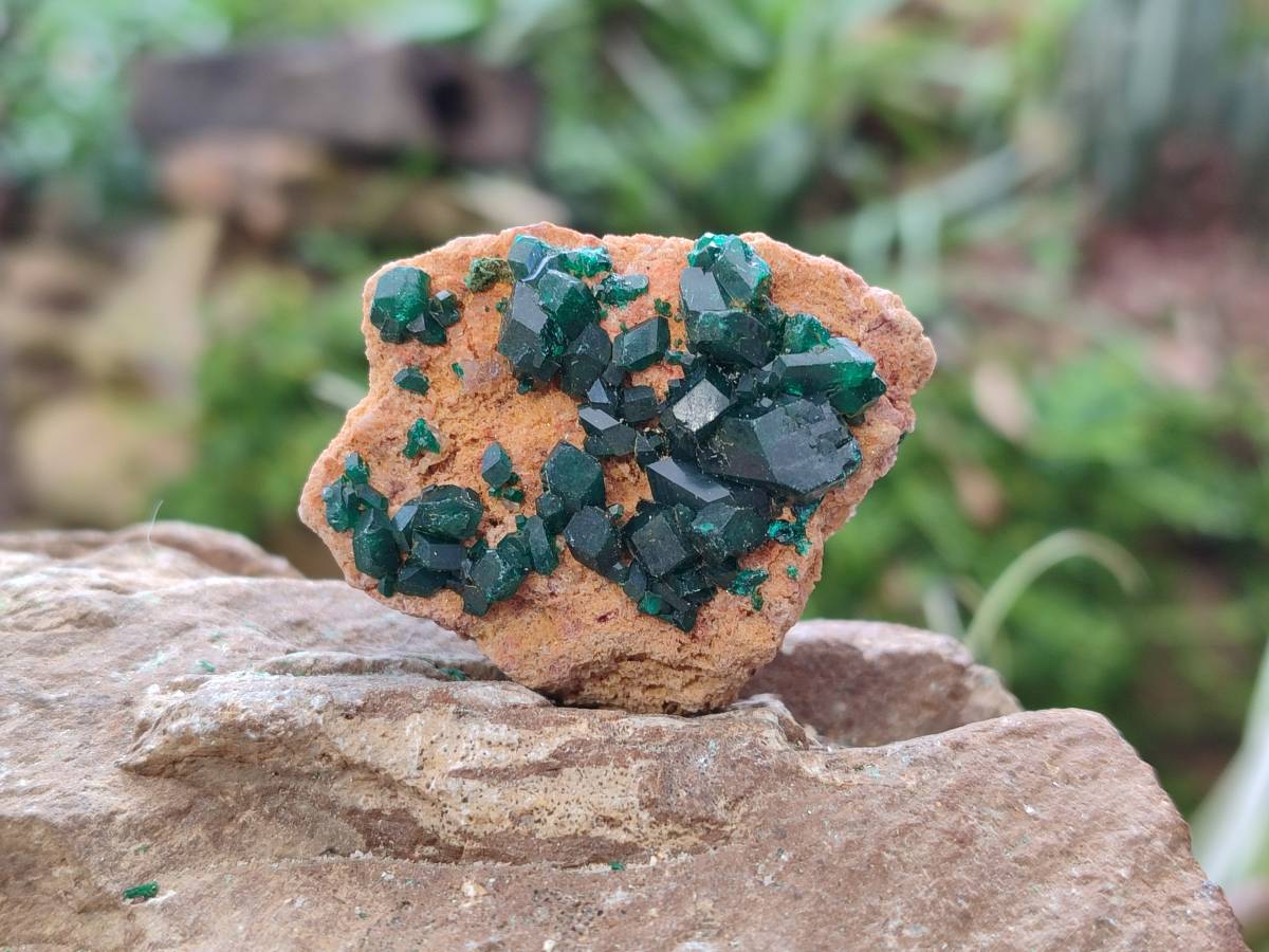 Natural Dioptase on Dolomite Matrix Specimens x 6 From Likasi, Congo - Toprock Gemstones and Minerals 