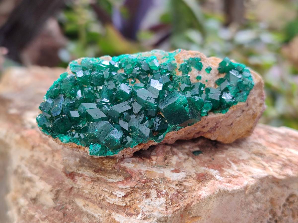 Natural Dioptase on Dolomite Matrix Specimens x 6 From Likasi, Congo - Toprock Gemstones and Minerals 