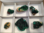 Natural Dioptase on Dolomite Matrix Specimens x 6 From Likasi, Congo - Toprock Gemstones and Minerals 