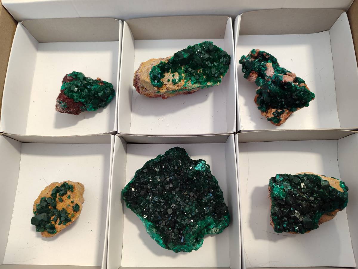 Natural Dioptase on Dolomite Matrix Specimens x 6 From Likasi, Congo - Toprock Gemstones and Minerals 
