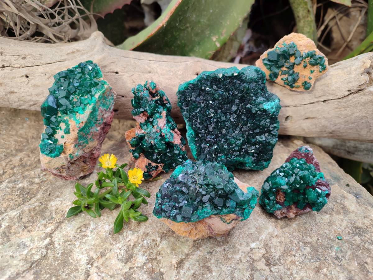 Natural Dioptase on Dolomite Matrix Specimens x 6 From Likasi, Congo - Toprock Gemstones and Minerals 