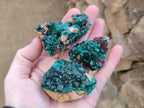 Natural Dioptase on Dolomite Matrix Specimens x 6 From Likasi, Congo - Toprock Gemstones and Minerals 