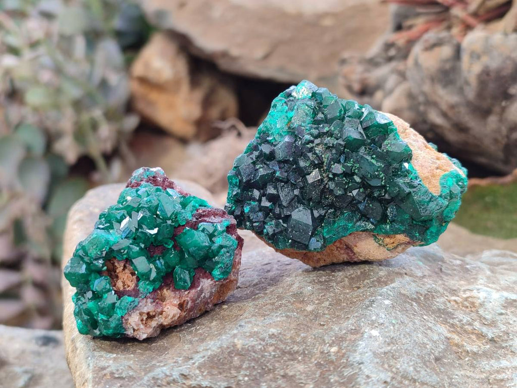 Natural Dioptase on Dolomite Matrix Specimens x 6 From Likasi, Congo - Toprock Gemstones and Minerals 