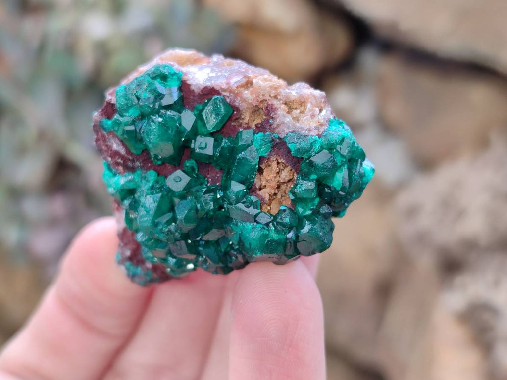 Natural Dioptase on Dolomite Matrix Specimens x 6 From Likasi, Congo - Toprock Gemstones and Minerals 