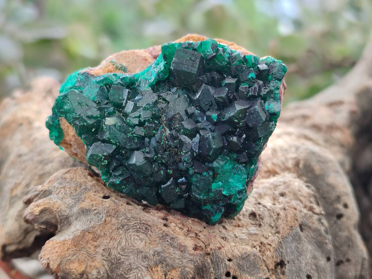 Natural Dioptase on Dolomite Matrix Specimens x 6 From Likasi, Congo - Toprock Gemstones and Minerals 