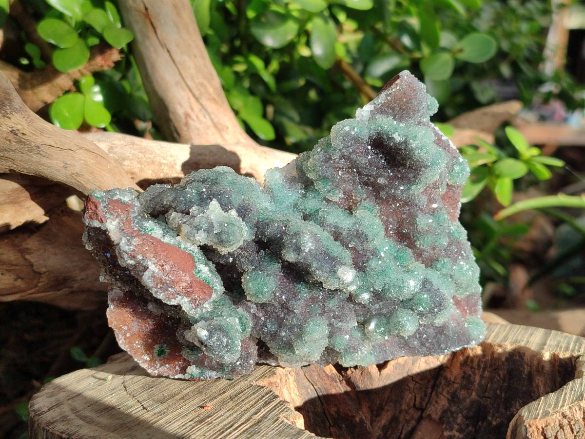 Natural Ball Malachite On Dolomite Matrix Specimens x 2 From Kambove, Congo - Toprock Gemstones and Minerals 