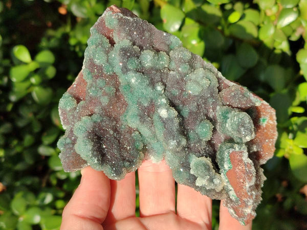 Natural Ball Malachite On Dolomite Matrix Specimens x 2 From Kambove, Congo